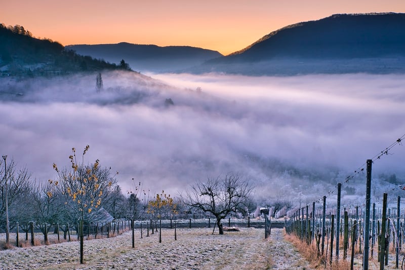 Barossa Valley, Australia