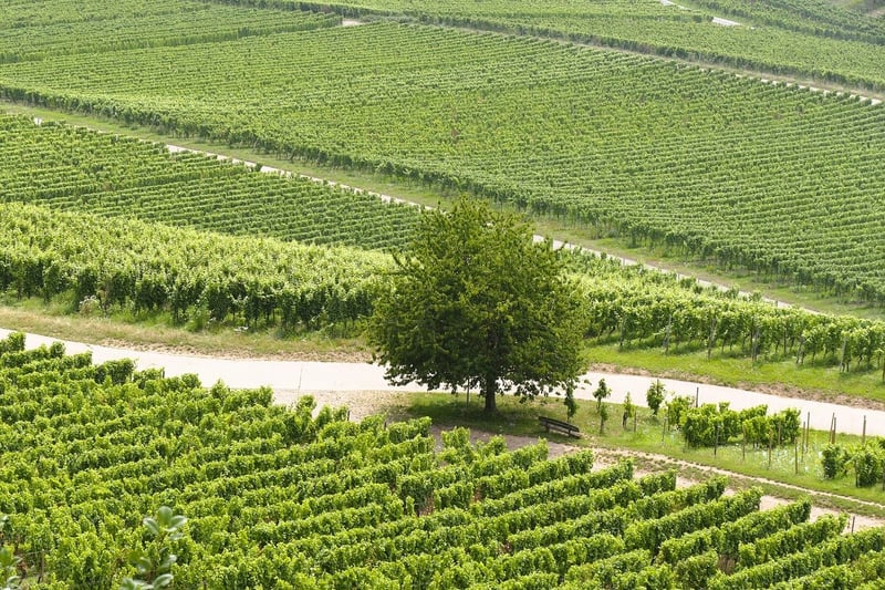 Mendoza, Argentina